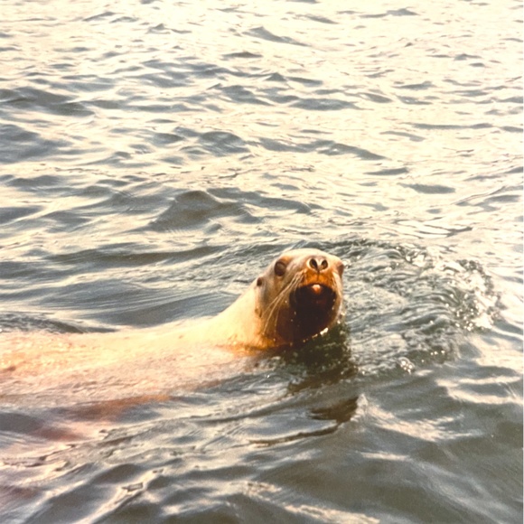 Meet your Posher, Annette - Picture 13 of 13